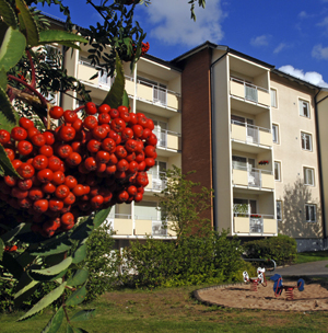 Foto på ett hyreshus med fyra våningar och balkonger. Ett rönnbärsträd i förgrunden.